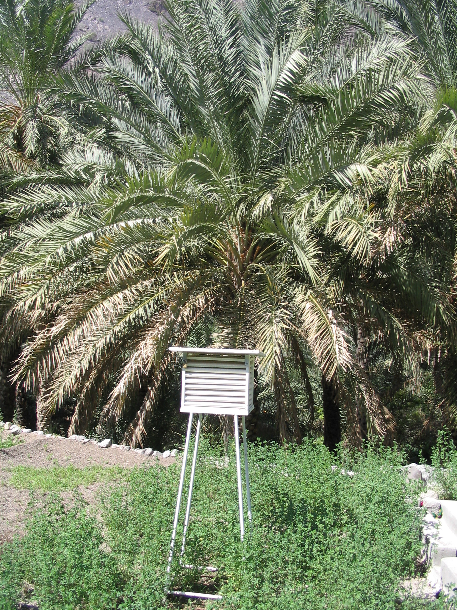 Temperature logger in Masayrat ar Ruwajah, Al Jabal Al Akhdar, Oman
