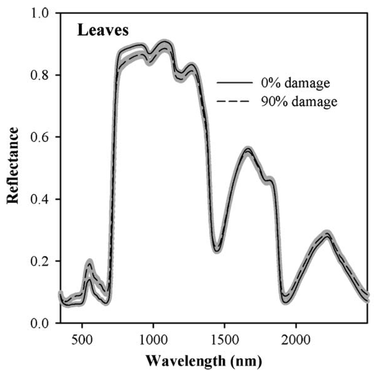 Hyperspectral reflectance spectra of healthy (0% damage) and highly mite-affected (90% damage) peach leaves in California. The lines show the averages, the shading illustrates the standard error of the mean (Luedeling et al., 2009c)