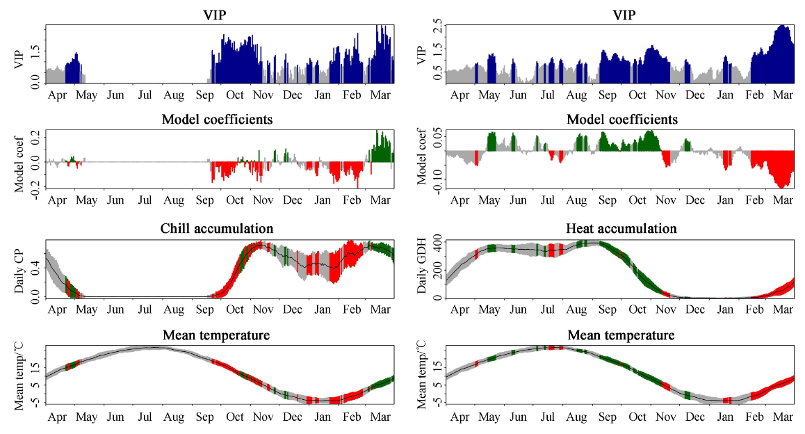 Results of a PLS analysis based on the relationship between daily chill (quantified with the Dynamic Model) and heat (quantified with the GDH model) accumulation and bloom of mountain peach (Prunus davidiana) in Beijing, China (Guo et al., 2014b)