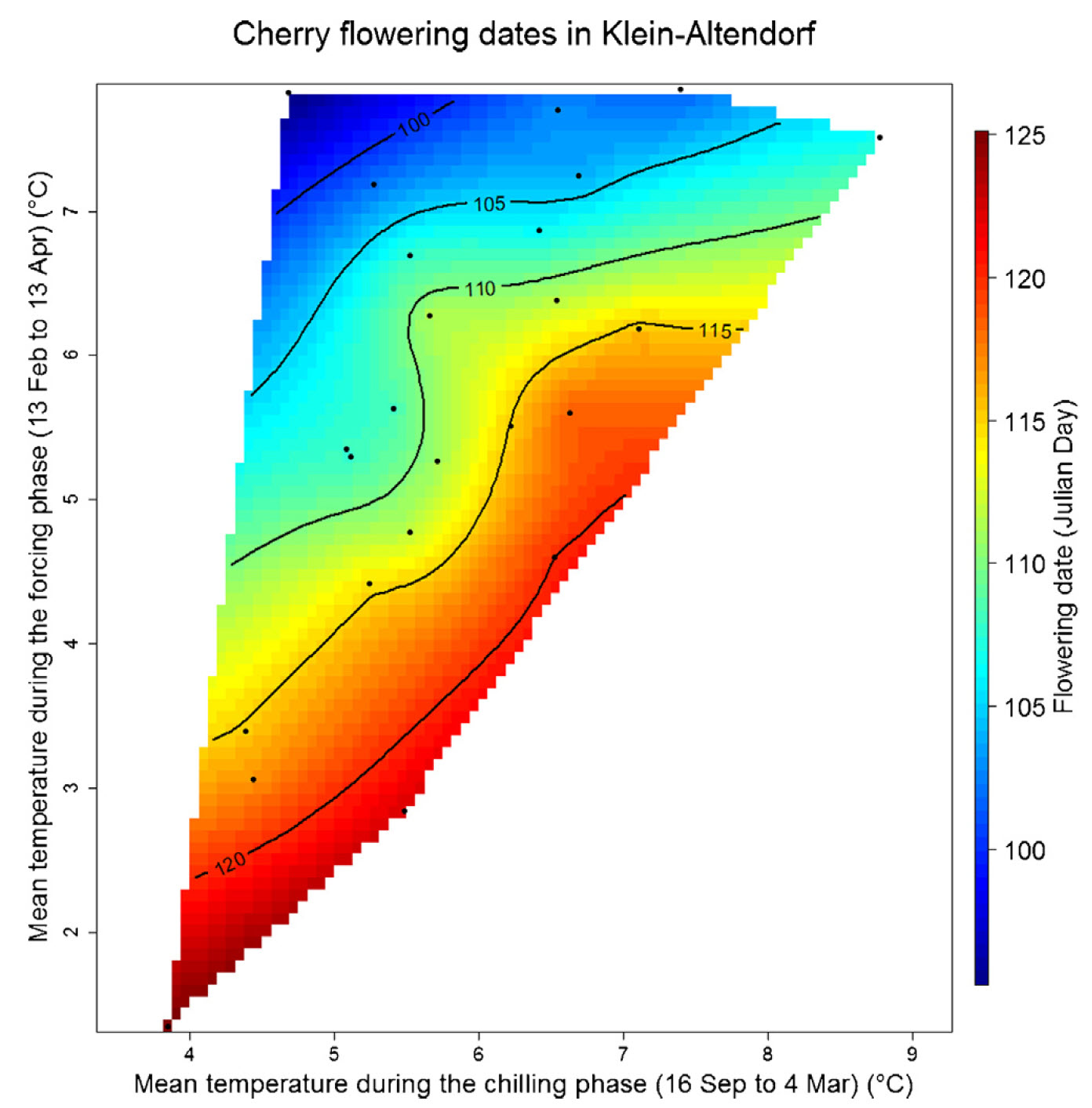 Bloom dates of cherries ‘Schneiders späte Knorpelkirsche’ in Klein-Altendorf, as a function of mean temperatures during the chilling and forcing phases (Luedeling et al., 2013a)